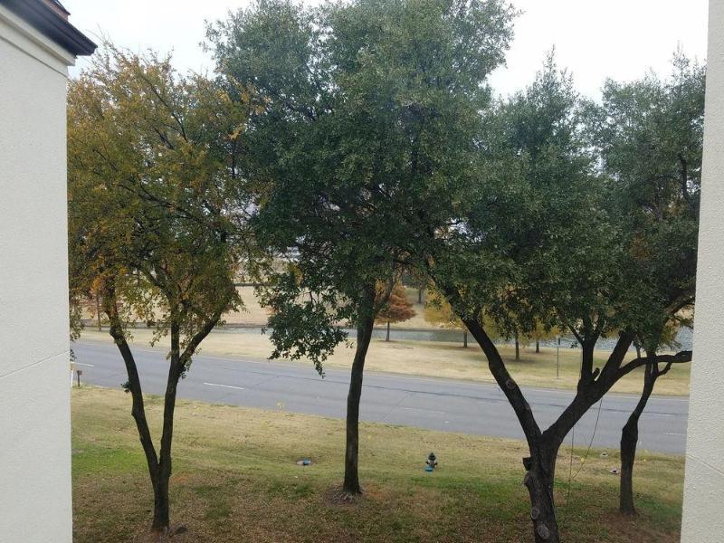 Comfort Inn & Suites Irving Las Colinas Dfw מראה חיצוני תמונה